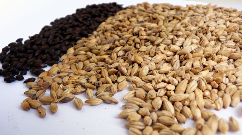 Malta Caramelos Patagonia